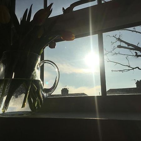 Brighton Boutique Garden Studio With Free Parking Luaran gambar